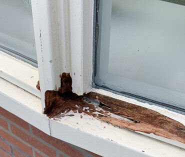 Houtrot reparatie