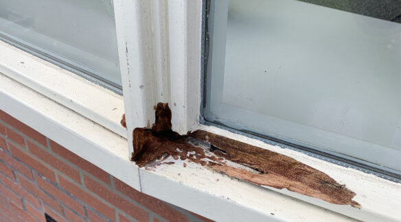Houtrot reparatie